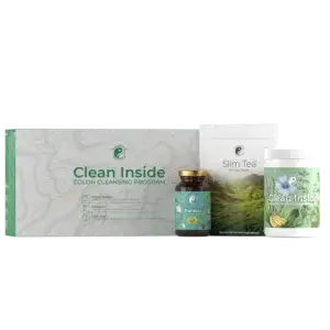 Clean Inside Programm