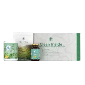 CleanInside Programm