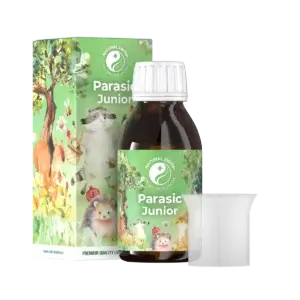 Parasic Junior