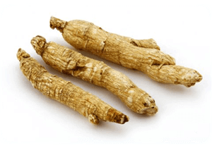 Ginseng