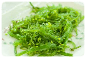 Die Spirulina Alge