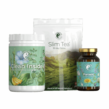 Clean Inside Programm