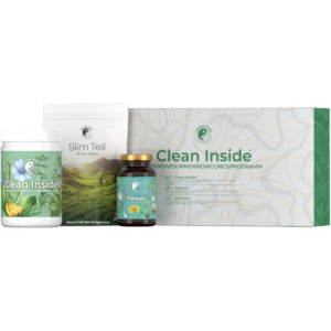 Clean Inside Programm